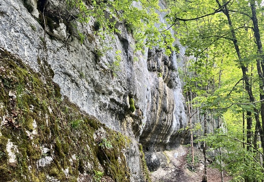 23-05-20 10-59-59 5479